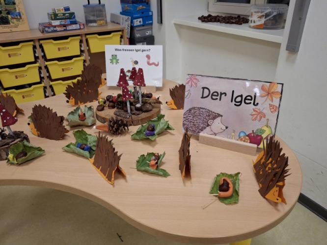 igel25.jpg